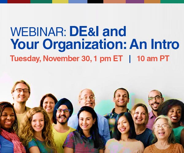 DE&I Webinar